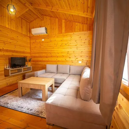 Arda Qerret (Tirana)