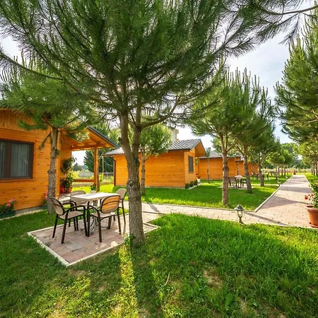 Arda * Qerret (Tirana)