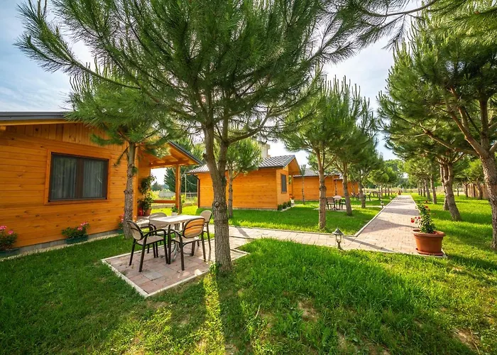 Arda * Qerret (Tirana)