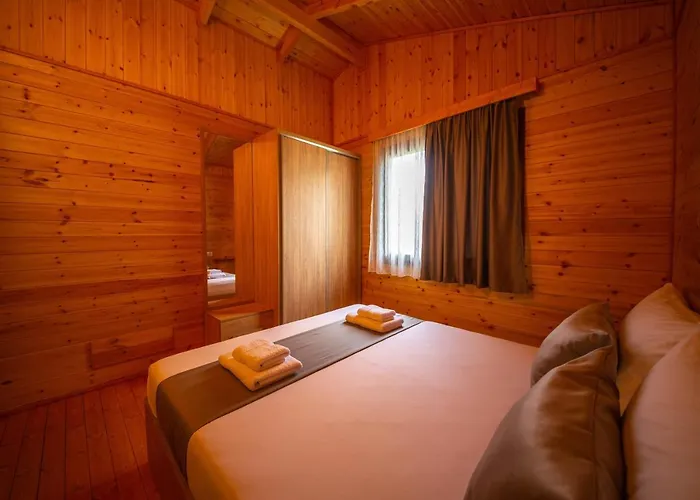 Arda * Qerret (Tirana)