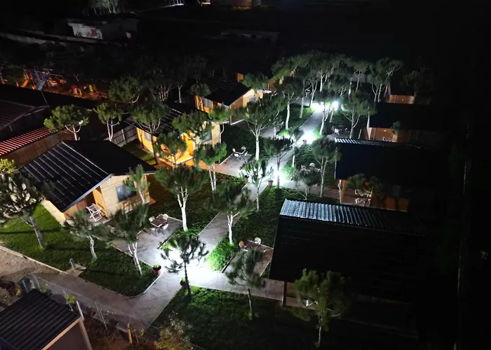 Arda Qerret (Tirana)