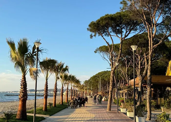 Arda * Qerret (Tirana)